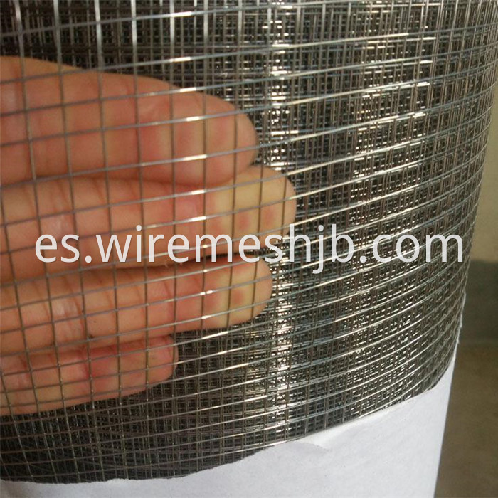 Galvanized Wire Mesh